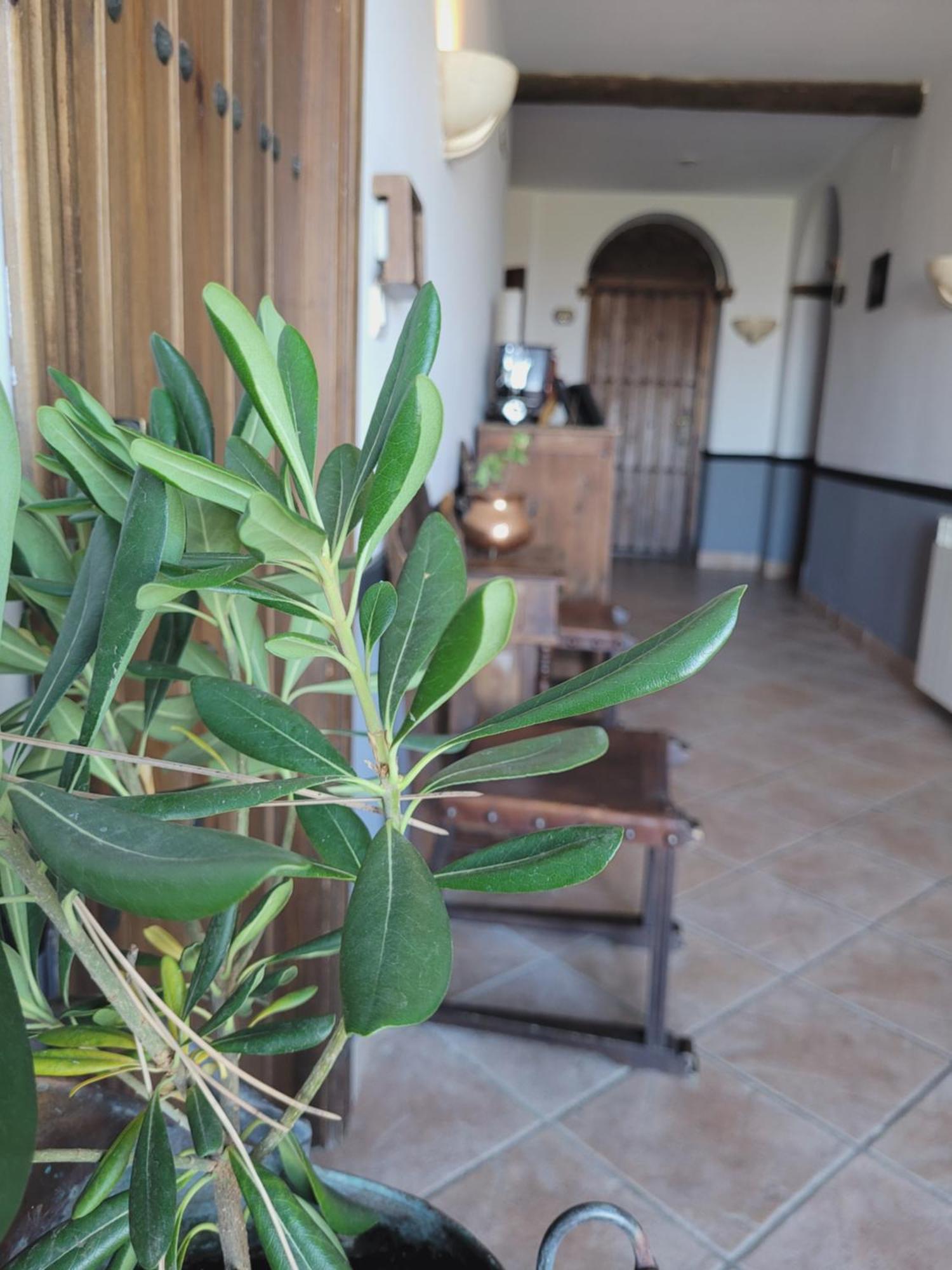 Hotel El Balcon De Las Nieves La Zubia  Eksteriør billede